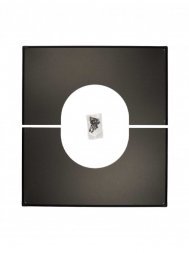 Декоративная пластина 0° - 5° Schiedel Permeter 25